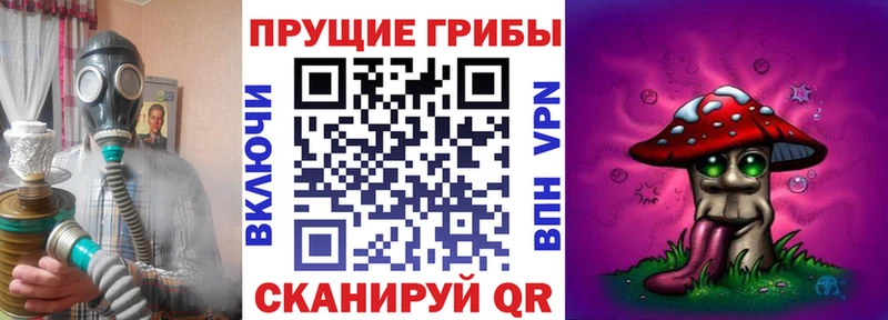 Псилоцибиновые грибы прущие грибы  Оренбург 