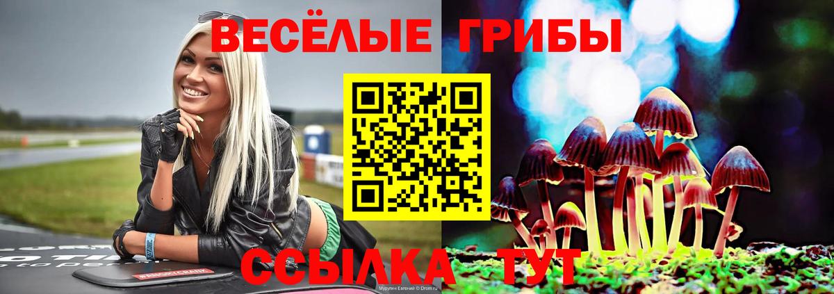 Галлюциногенные грибы Psilocybine cubensis Оренбург