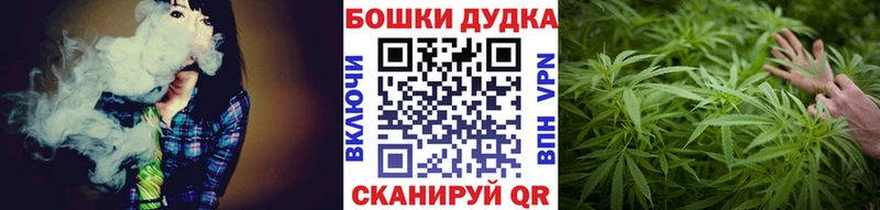 где найти наркотики Оренбург Бошки Шишки SATIVA & INDICA